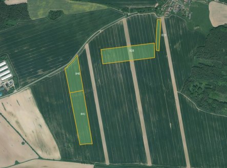 Zemědělská půda, prodej, Sedlec, Poběžovice, Domažlice