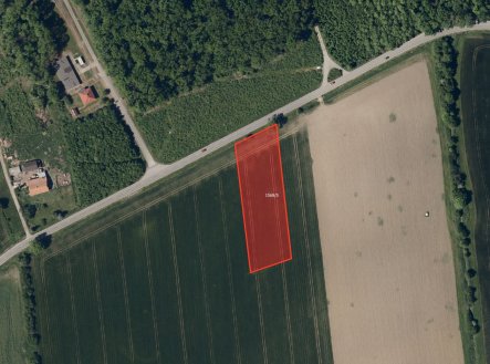Nemovitost
