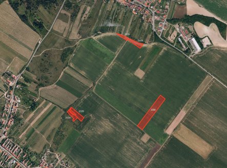 Zemědělská půda, prodej, Popice, Znojmo