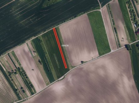 Zemědělská půda, prodej, Násedlovice, Hodonín