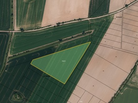 Zemědělská půda, prodej, Malé Hoštice, Opava
