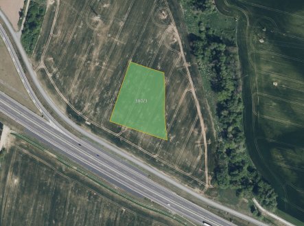 Zemědělská půda, prodej, Ostrov, Chrudim