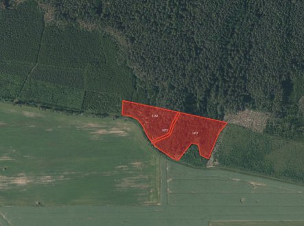 Les, prodej, Horní Hradiště, Plasy, Plzeň sever