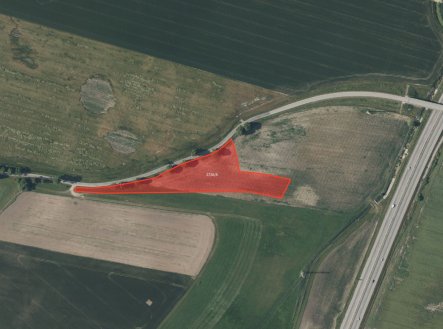 Zemědělská půda, prodej, Veselí nad Lužnicí I, Veselí nad Lužnicí, Tábor
