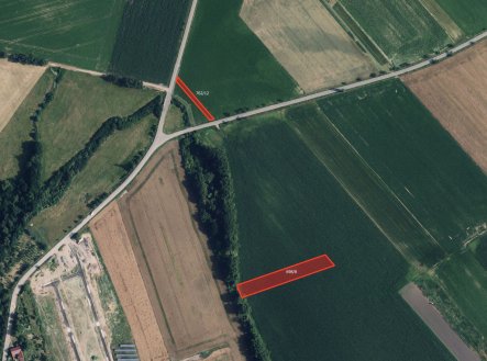 Zemědělská půda, prodej, Radslavice, Přerov