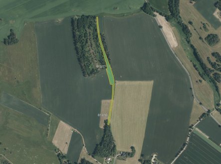 Zemědělská půda, prodej, Pechova Lhota, Hrejkovice, Písek
