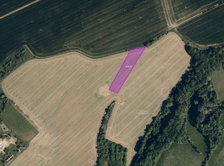 Zemědělská půda, prodej, Kostelany, Kroměříž