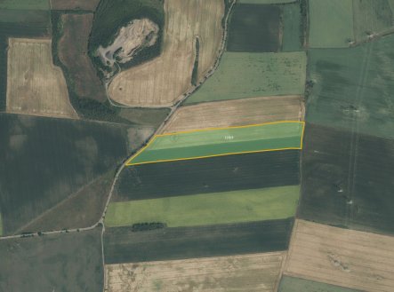 Zemědělská půda, prodej, Vrbka, Postoloprty, Louny