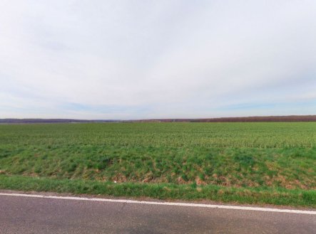 Zemědělská půda, prodej, Kopidlno, Jičín