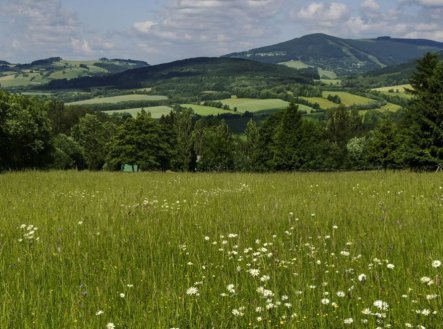 Prodej pozemku, trvalý travní porost, 4 986 m²