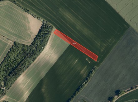 Prodej pozemku, zemědělská půda, 6 071 m²