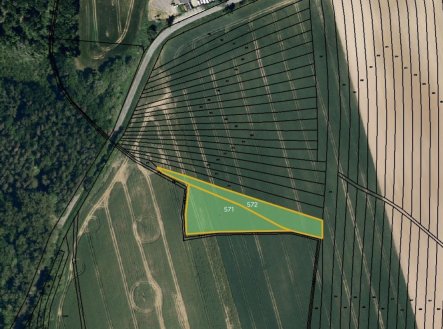 Prodej pozemku, zemědělská půda, 4 471 m²