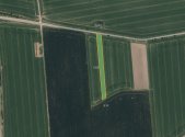Prodej pozemku, zemědělská půda, 4 431 m²