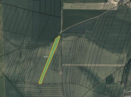 Prodej pozemku, zemědělská půda, 6 007 m²