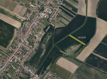 Zemědělská půda, prodej, Svatobořice, Svatobořice-Mistřín, Hodonín