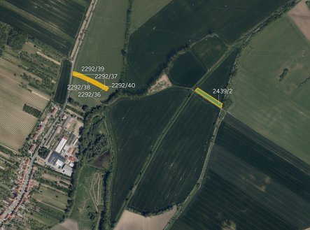 Zemědělská půda, prodej, Svatobořice, Svatobořice-Mistřín, Hodonín