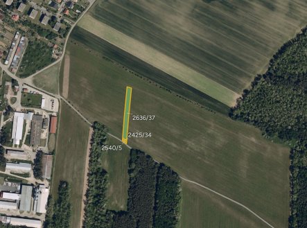 Zemědělská půda, prodej, Svatobořice, Svatobořice-Mistřín, Hodonín