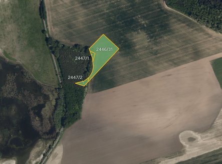 Prodej pozemku, zemědělská půda, 10 054 m²