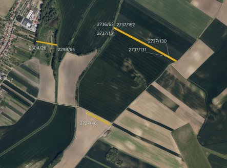 Zemědělská půda, prodej, Svatobořice, Svatobořice-Mistřín, Hodonín