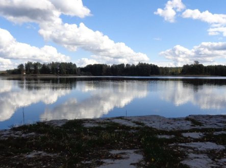 Prodej pozemku, zemědělská půda, 5 569 m²