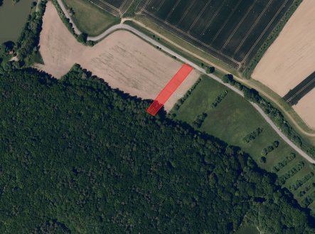 Prodej pozemku, zemědělská půda, 4 043 m²