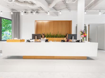 Pronájem kanceláře, 10 m²