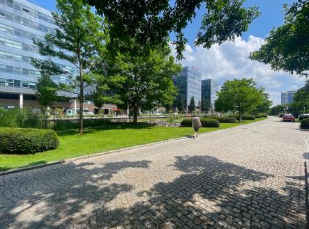 Pronájem kanceláře, 120 m²