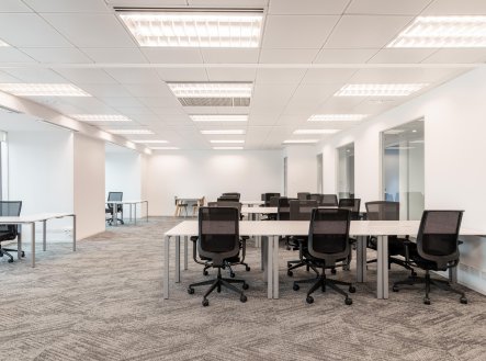 Pronájem kanceláře, 75 m² - Praha - Holešovice