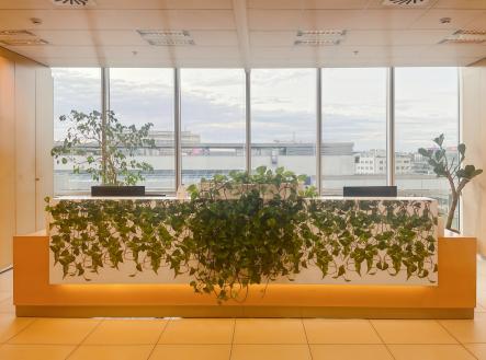 Pronájem kanceláře, 75 m²