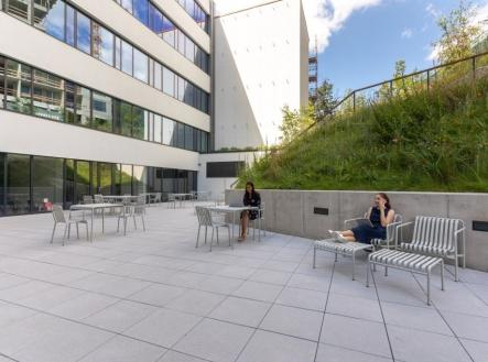 Pronájem kanceláře, 50 m²