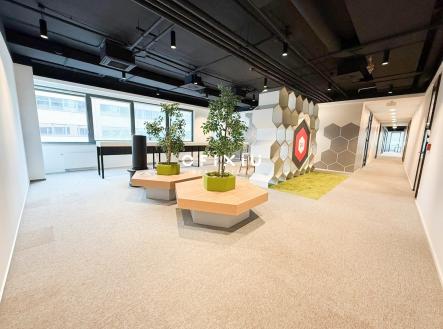 Pronájem kanceláře, 742 m²