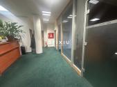 Pronájem kanceláře, 227 m²