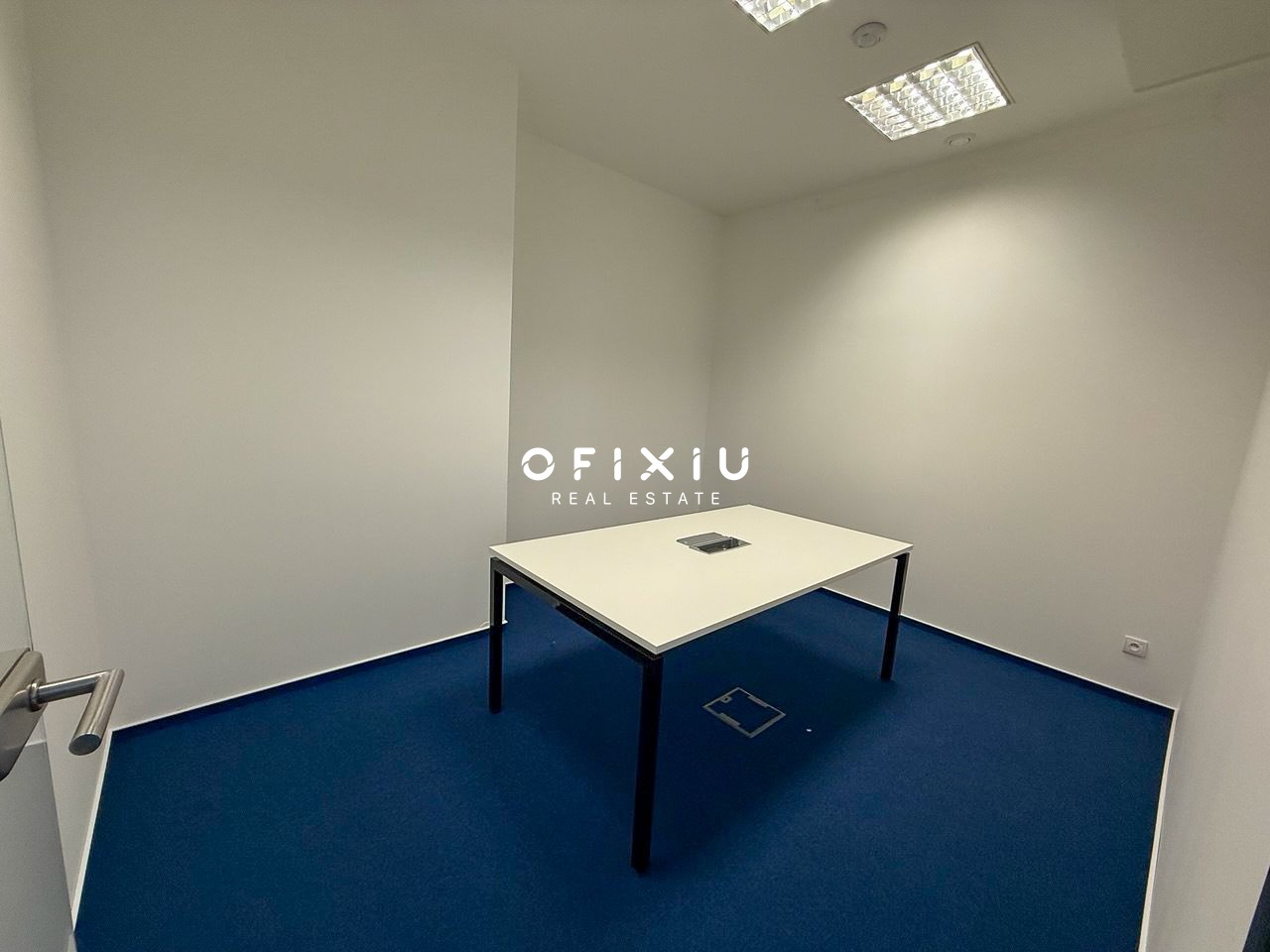 photo_2025-02-28 12.27.01