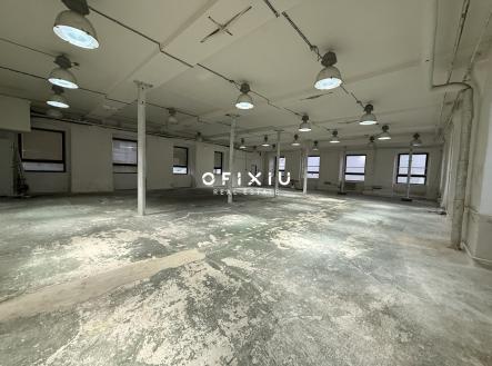 Pronájem obchodní prostor, 710 m²