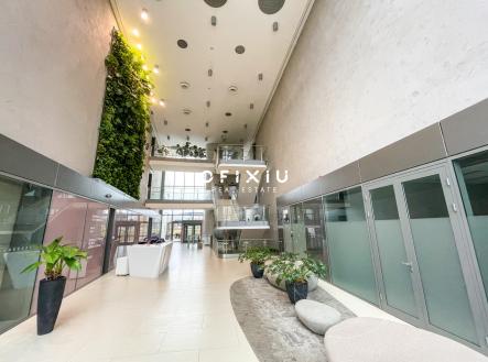 Pronájem kanceláře, 500 m²