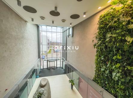 Pronájem kanceláře, 500 m²