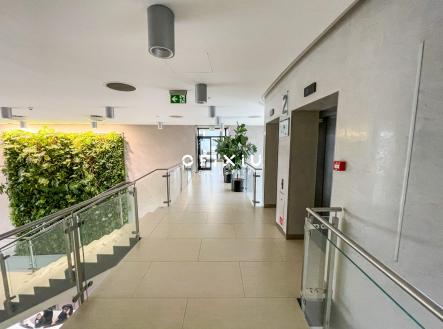 Pronájem kanceláře, 500 m²