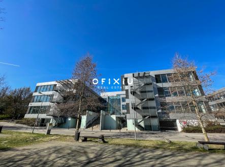 Pronájem kanceláře, 500 m²