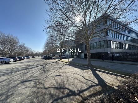 Pronájem kanceláře, 300 m²