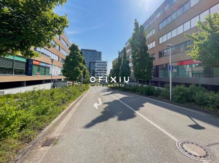 Pronájem kanceláře, 370 m²