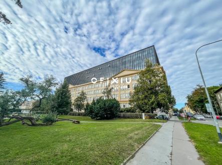 Pronájem kanceláře, 500 m²