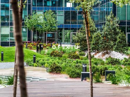 Pronájem obchodní prostor, 250 m²