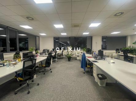 Pronájem kanceláře, 300 m²