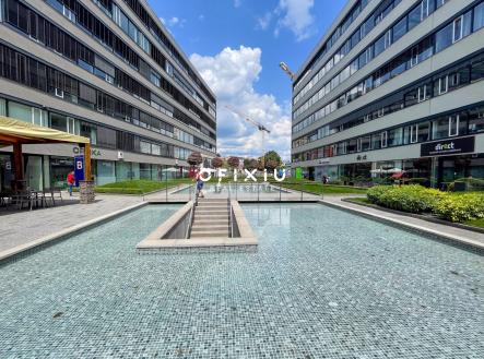 Pronájem kanceláře, 290 m²