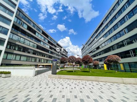 Pronájem kanceláře, 290 m²