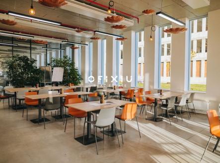 Pronájem kanceláře, 30 m²