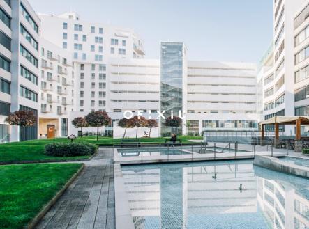 Pronájem obchodní prostor, 520 m²