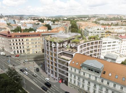 Pronájem obchodní prostor, 300 m²