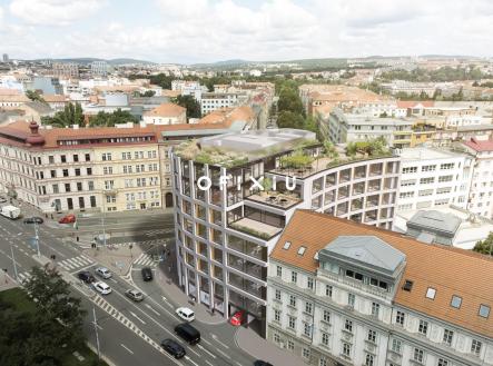 Pronájem - kanceláře, 1 000 m²