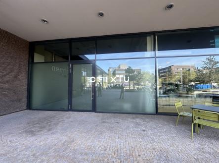 Pronájem obchodní prostory, 177 m²
